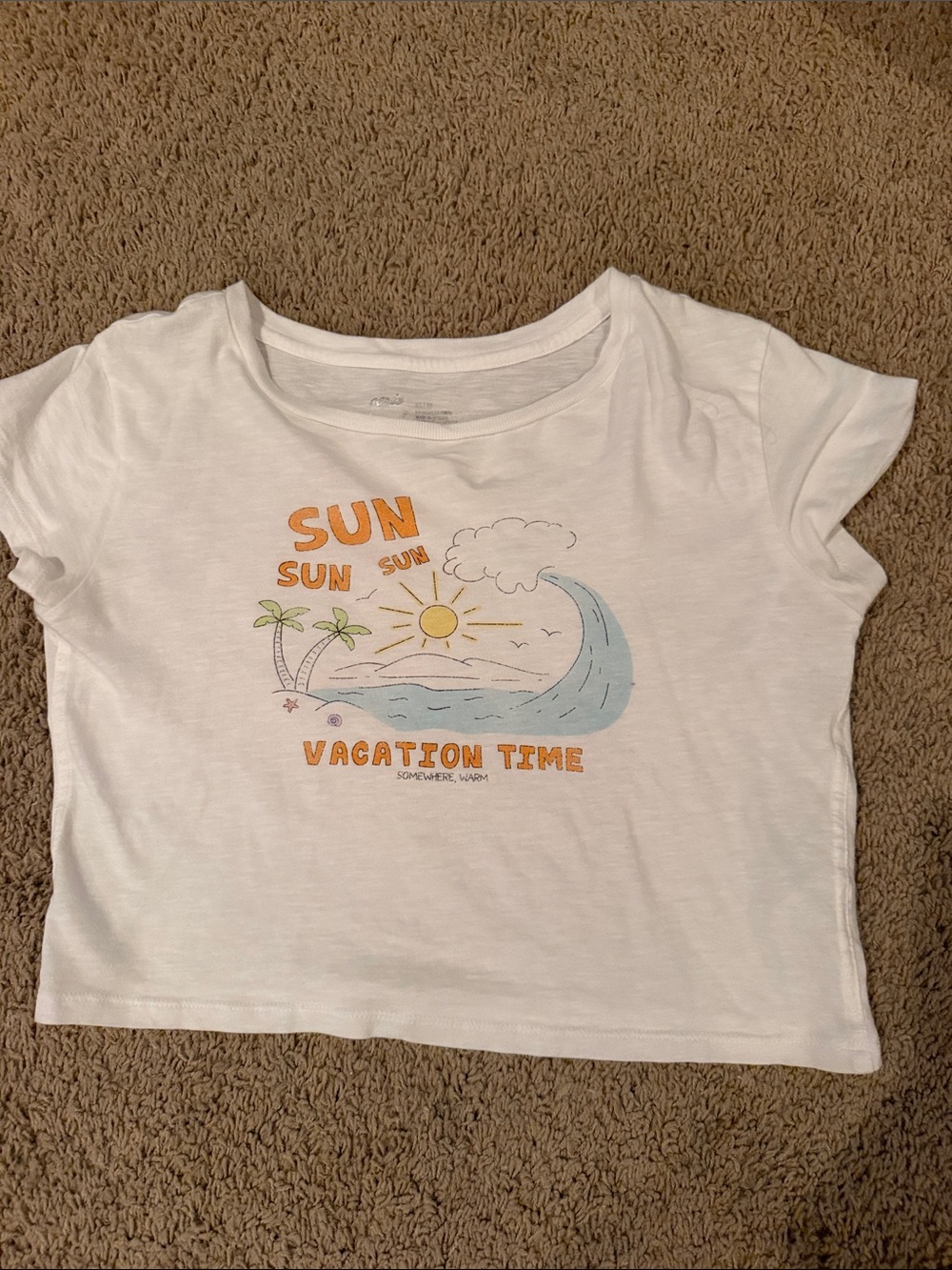 aerie White Crop Tee with Beach Graphic in Orange and Blue